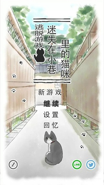 迷途猫