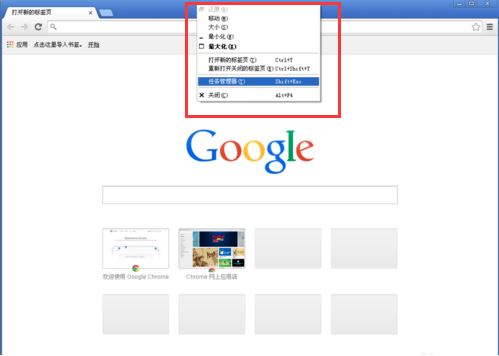 谷歌浏览器Google