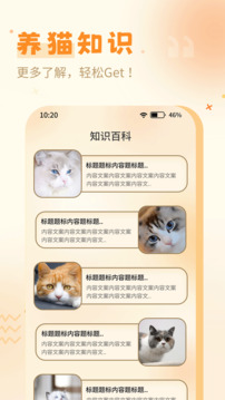 猫语翻译器